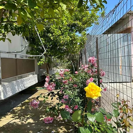 Apartment Froso *